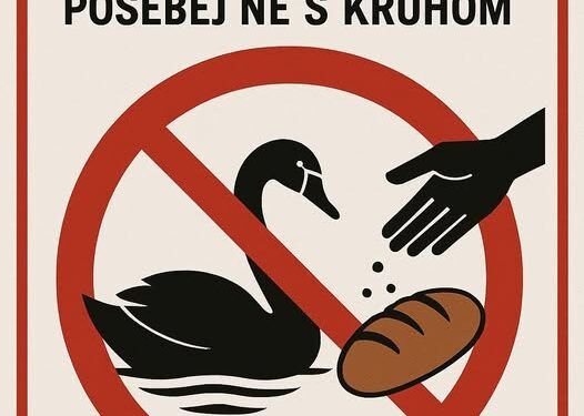 “Hranjenje labodov prepovedano!”