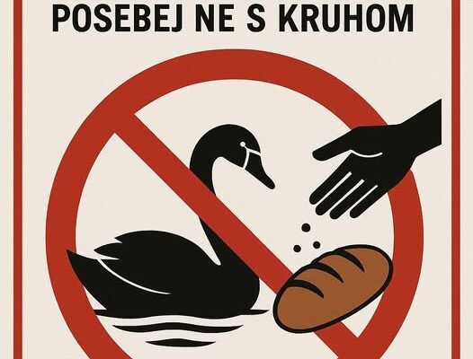 502714156_1025100806482387_20816043164449655_n