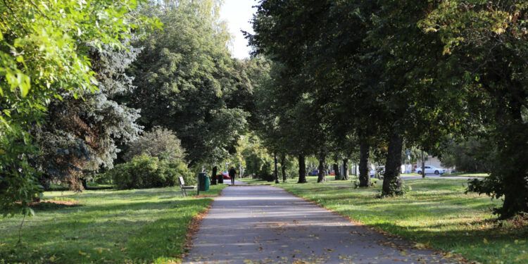 V mestih drevesa pospešeno umirajo, predsednik pomagaj!