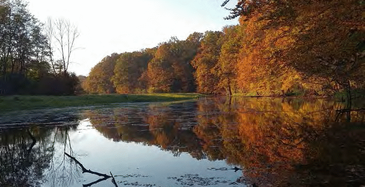 Za obnovo rečnih in obrečnih habitatov Mure in Drave nova evropska sredstva