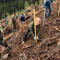 [Dolenjski list] Največ prostovoljcev drevesa sadilo v Kočevju