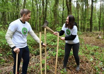 [Lokalec] V Betnavskem gozdu odslej medovita drevesa