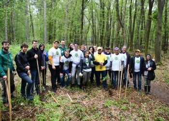 Sajenje medovitih dreves v Betnavskem gozdu