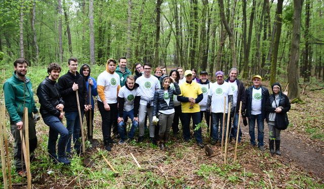 Sajenje medovitih dreves v Betnavskem gozdu