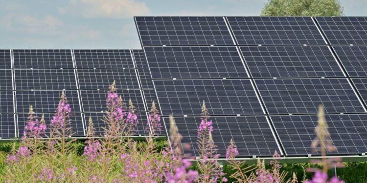 Veter in sonce prvič zagotovila 10% svetovne elektrike