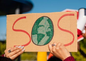 Priročnik za prepoznavanje Trumpovih laži o podnebnih spremembah